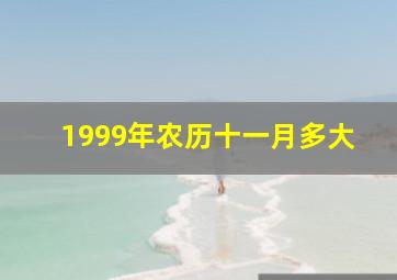 1999年农历十一月多大