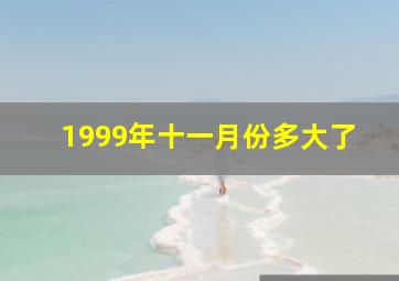 1999年十一月份多大了