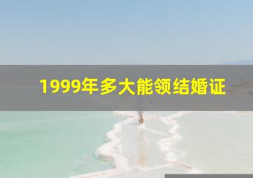 1999年多大能领结婚证