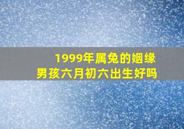 1999年属兔的姻缘男孩六月初六出生好吗