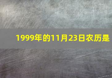 1999年的11月23日农历是