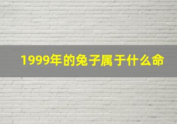 1999年的兔子属于什么命