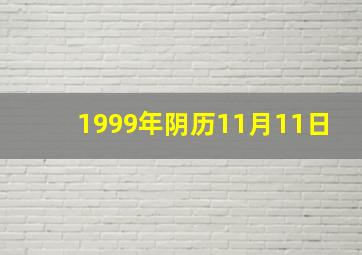 1999年阴历11月11日