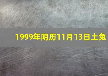 1999年阴历11月13日土兔