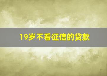 19岁不看征信的贷款