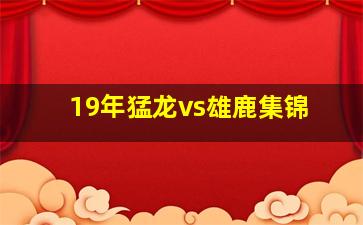 19年猛龙vs雄鹿集锦