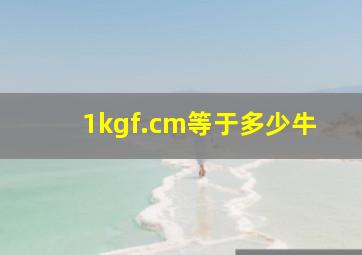 1kgf.cm等于多少牛