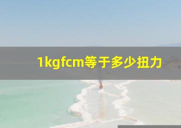 1kgfcm等于多少扭力