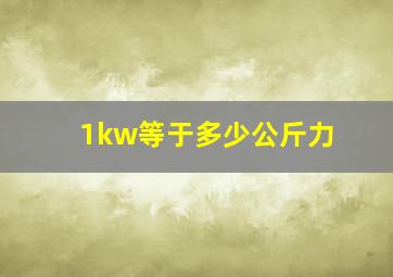 1kw等于多少公斤力