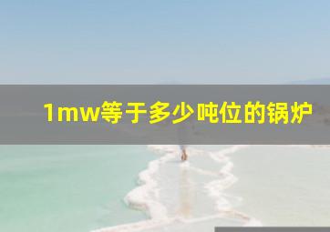 1mw等于多少吨位的锅炉