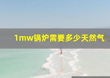 1mw锅炉需要多少天然气