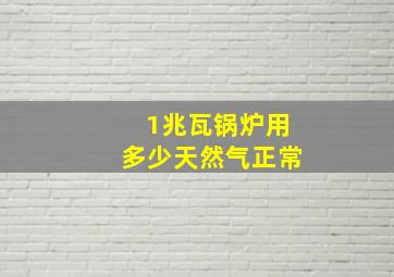 1兆瓦锅炉用多少天然气正常