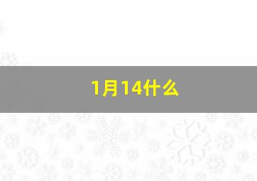 1月14什么