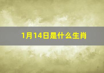 1月14日是什么生肖