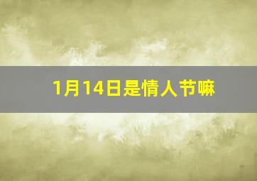 1月14日是情人节嘛