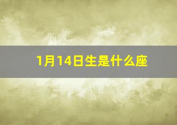 1月14日生是什么座