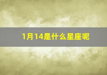 1月14是什么星座呢