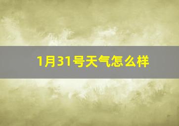 1月31号天气怎么样