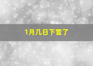 1月几日下雪了