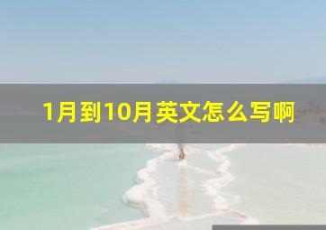 1月到10月英文怎么写啊