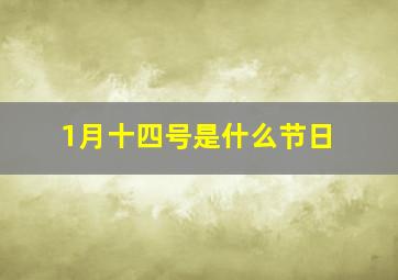 1月十四号是什么节日