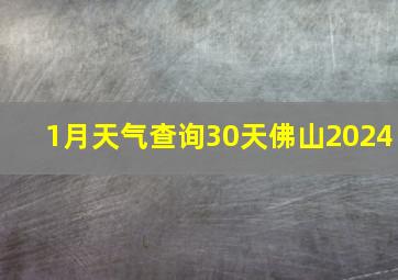 1月天气查询30天佛山2024