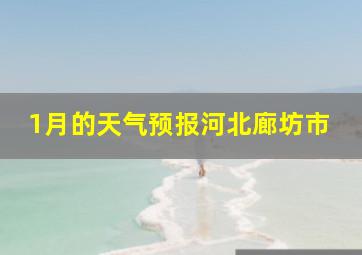 1月的天气预报河北廊坊市