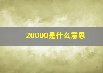 20000是什么意思