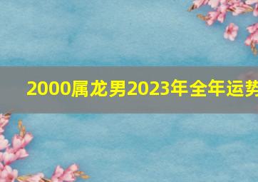 2000属龙男2023年全年运势