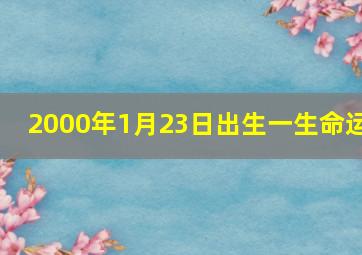 2000年1月23日出生一生命运