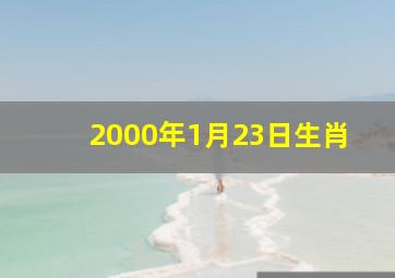 2000年1月23日生肖