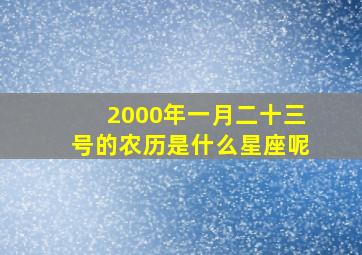 2000年一月二十三号的农历是什么星座呢