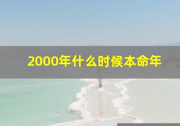 2000年什么时候本命年