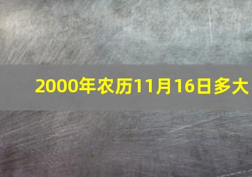 2000年农历11月16日多大