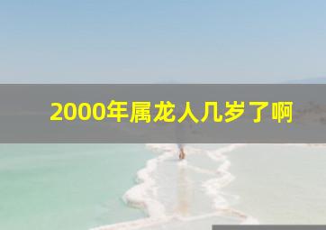 2000年属龙人几岁了啊