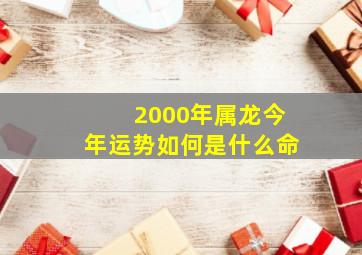 2000年属龙今年运势如何是什么命