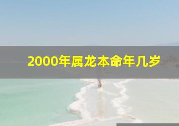 2000年属龙本命年几岁