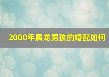 2000年属龙男孩的婚配如何