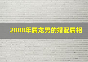 2000年属龙男的婚配属相