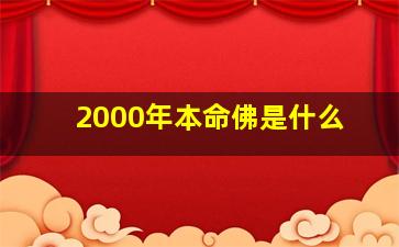 2000年本命佛是什么