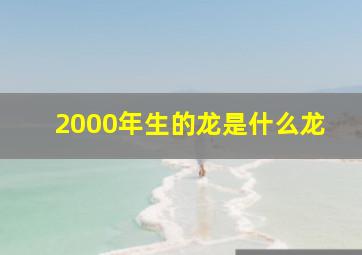 2000年生的龙是什么龙