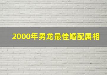 2000年男龙最佳婚配属相