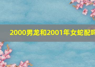 2000男龙和2001年女蛇配吗