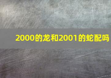 2000的龙和2001的蛇配吗