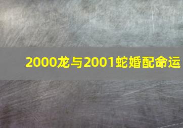 2000龙与2001蛇婚配命运