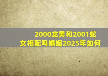 2000龙男和2001蛇女相配吗婚姻2025年如何