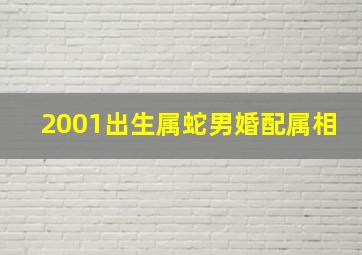 2001出生属蛇男婚配属相