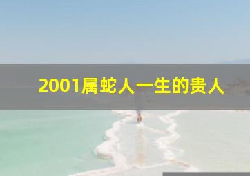 2001属蛇人一生的贵人