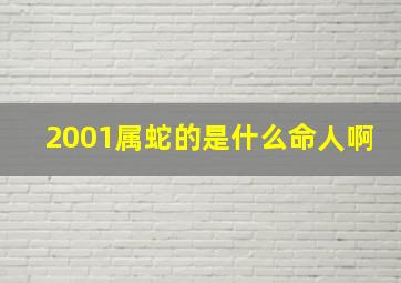 2001属蛇的是什么命人啊