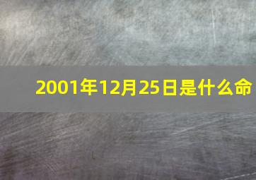 2001年12月25日是什么命